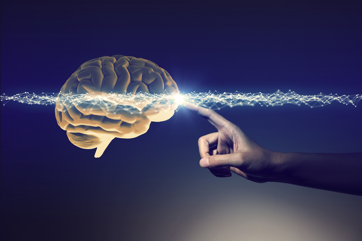 Neurociencia aplicada a la educación HAB-NEUAPEDU-C